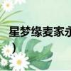 星夢緣麥家永的身世（星夢緣麥家永黑道經歷）
