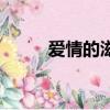 愛情的滋潤的意思（滋潤的意思）
