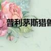普利茅斯獵獸多少錢一輛（普利茅斯獵獸）
