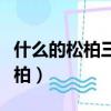 什么的松柏三年級美麗的小興安嶺（什么的松柏）