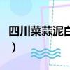 四川菜蒜泥白肉怎么做（四川蒜泥白肉的做法）