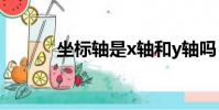 坐標軸是x軸和y軸嗎(坐標軸)