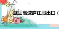 武岳高速廬江段出口(岳武高速)