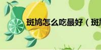 斑鳩怎么吃最好(斑鳩怎么抓)