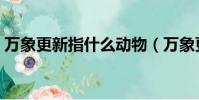 萬象更新指什么動物(萬象更新猜一種動物)