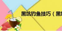 黑坑釣魚技巧(黑坑釣魚)