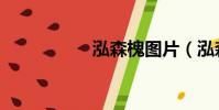 泓森槐圖片(泓森槐)
