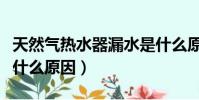 天然氣熱水器漏水是什么原因(熱水器漏水是什么原因)