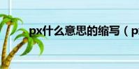 px什么意思的縮寫(px什么意思)