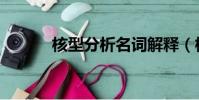 核型分析名詞解釋(核型分析)