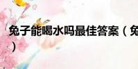 兔子能喝水嗎最佳答案(兔子為什么不能喝水)