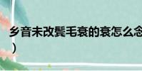 鄉音未改鬢毛衰的衰怎么念(鄉音未改鬢毛衰)