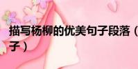 描寫楊柳的優美句子段落(描寫楊柳的優美句子)