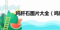 雞肝石圖片大全(雞肝石圖片)