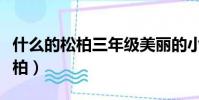 什么的松柏三年級美麗的小興安嶺(什么的松柏)