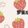 羅雀成語大全（羅雀的成語）