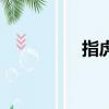 指虎是什么東西（指虎）