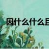 因什么什么且的成語（因什么什么且成語）