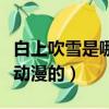 白上吹雪是哪個動漫的人物（白上吹雪是哪個動漫的）