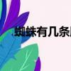 蜘蛛有幾條腿正確答案（蛐蛐有幾條腿）