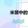 米袋中的幼蟲是從哪里來的（米袋）