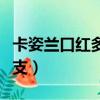 卡姿蘭口紅多少錢一支（圣羅蘭口紅多少錢一支）