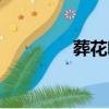 葬花吟歌譜（葬花吟賞析）