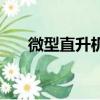 微型直升機需要駕照嗎（微型直升機）