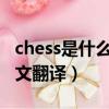 chess是什么中文意思?（chess是什么意思中文翻譯）