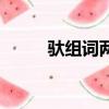 馱組詞兩個字（鴕組詞兩個字的）