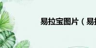 易拉寶圖片(易拉寶)