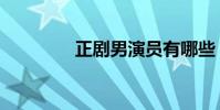 正劇男演員有哪些(正劇)