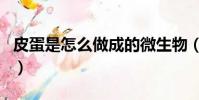 皮蛋是怎么做成的微生物(皮蛋是怎么做成的)