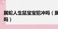 屬蛇人生鼠寶寶犯沖嗎(屬蛇生個鼠寶寶相克嗎)