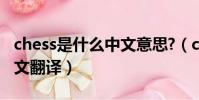 chess是什么中文意思?(chess是什么意思中文翻譯)