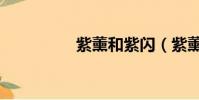 紫薰和紫閃(紫薰九號)