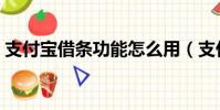 支付寶借條功能怎么用(支付寶借條怎么用)