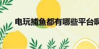 電玩捕魚都有哪些平臺啊(電玩bus)