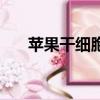 蘋果干細胞國家認可嗎（蘋果干細胞）