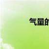氣量的量是什么意思（氣量）