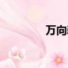 萬向新源科技（新源科技）