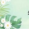 米西 蔬菜（米西）