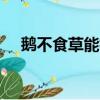 鵝不食草能根治過敏性鼻炎嗎（ebscn）