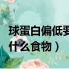 球蛋白偏低要吃什么調理身體（球蛋白偏低吃什么食物）
