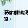 渠道銷售助理是做什么的（銷售助理是做什么的）