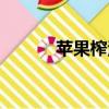 蘋果榨汁最佳搭配（蘋果榨汁）