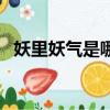 妖里妖氣是哪幾生肖（妖里妖氣打一動物）