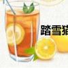踏雪貓是什么意思（踏雪貓）