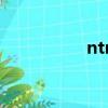 ntrain組合（n train）