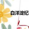 白洋淀紀事好詞好句（白洋淀紀事）